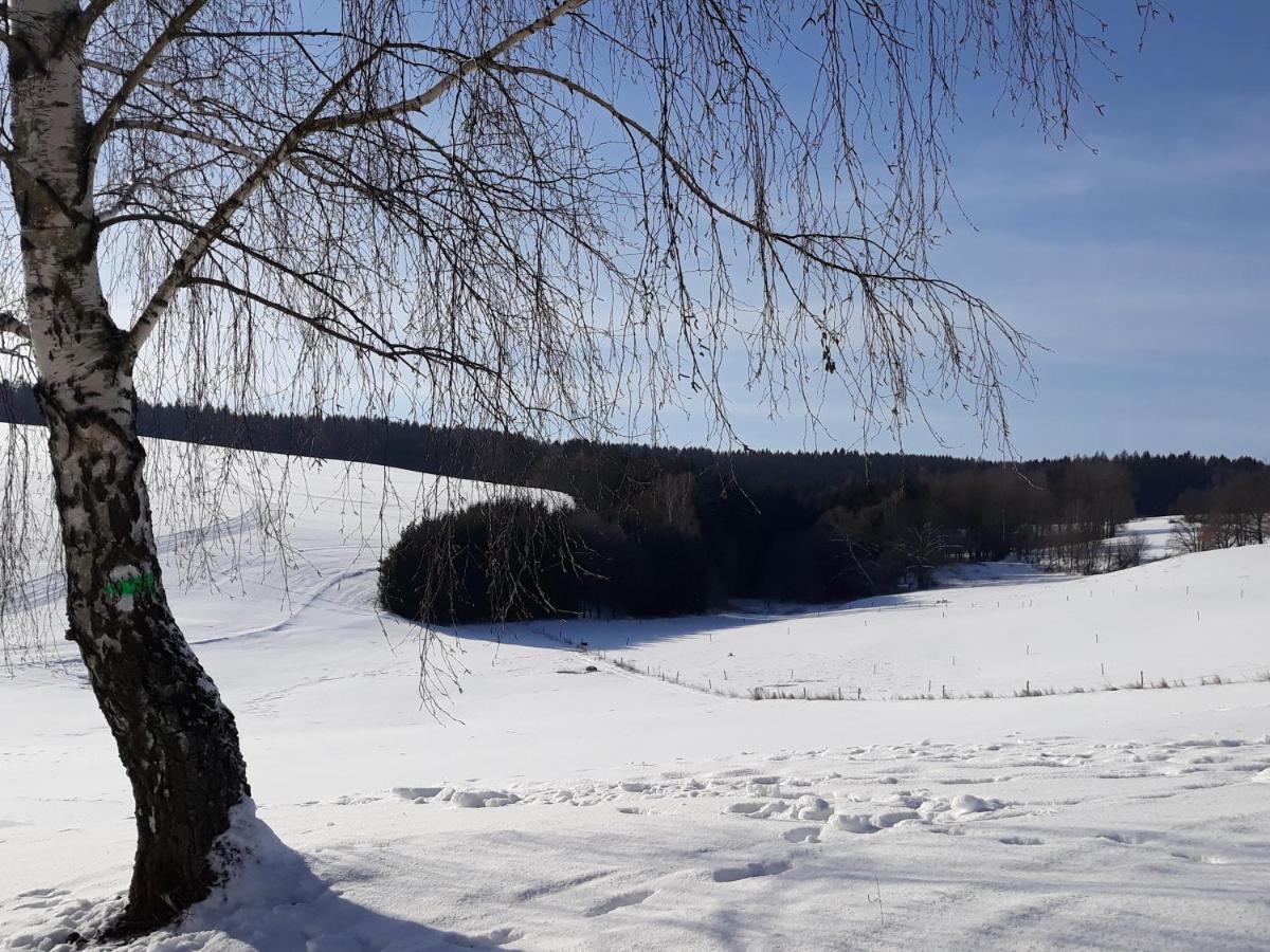 Chalupa Nad Popelkou Lomnice nad Popelkou Kültér fotó